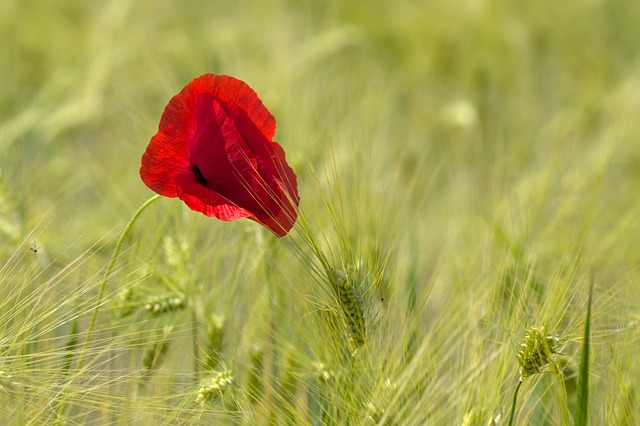 Howard Addington tweet media