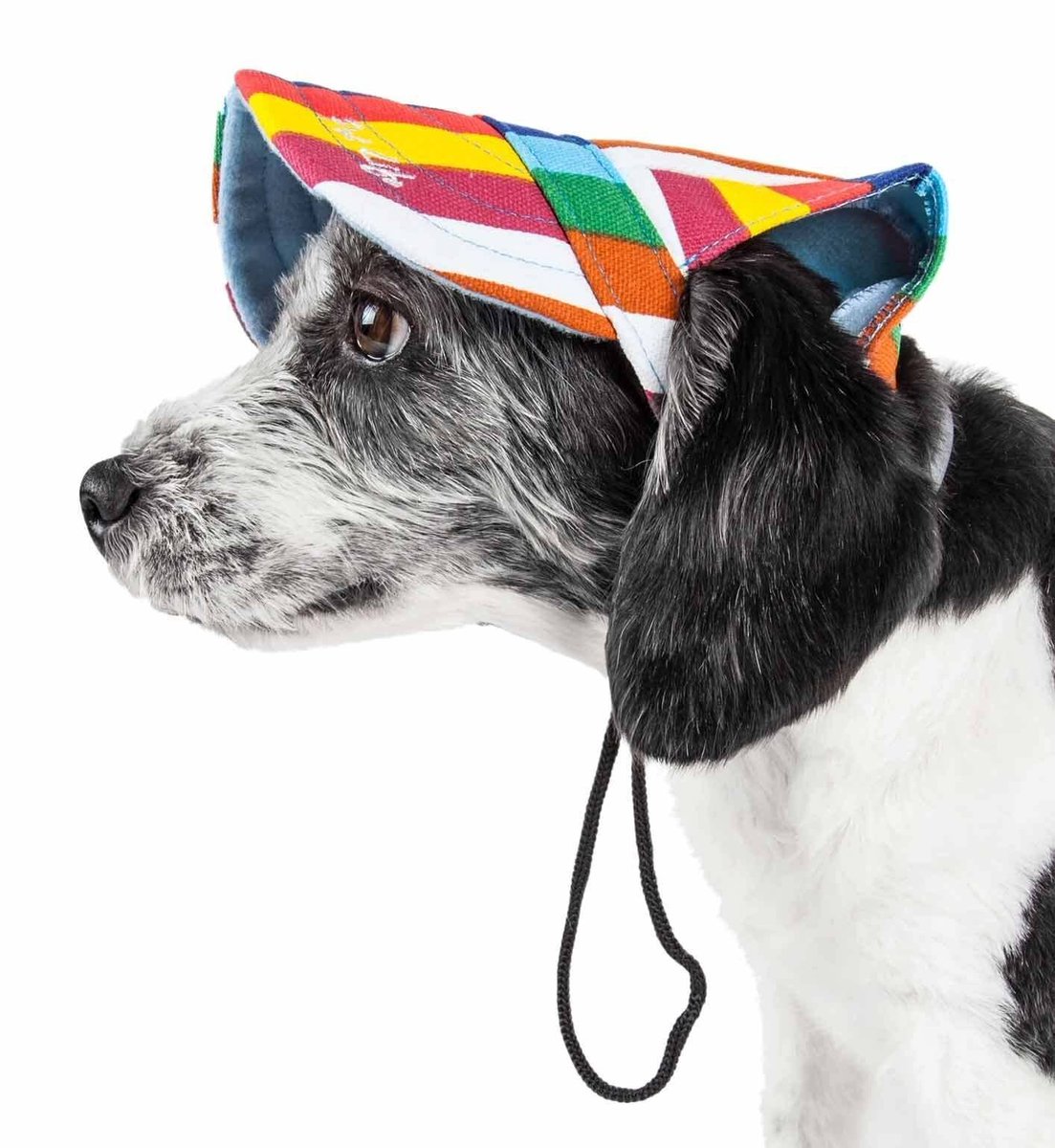 yourdogproducts's tweet image. 🐕💖 Play hard, nap harder! 🎾🛏️ Discover the paw-fect mix of toys, beds, and treats for your furry friend. Shop today at yourdogproducts.com 🐾
#YourDogProducts #PamperedPup #TailWaggingGood #DogLife #DogJoy