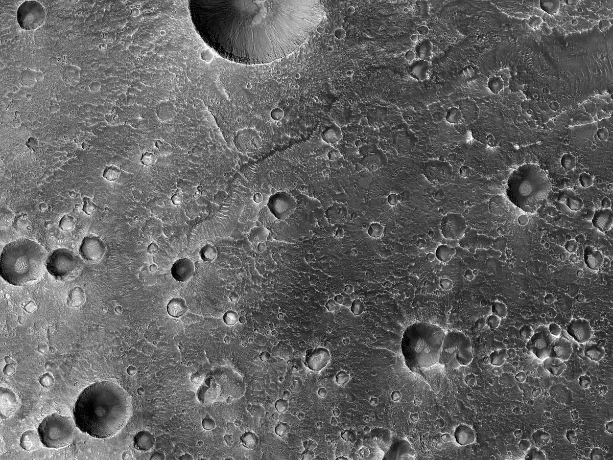 HiRISE's tweet image. HiPOD: A Fluvial Valley in Arabia Terra

This observation features a fluvial channel and a possible palaeolake basin, the extent of which has been calculated based on outlet valley elevation. 

uahirise.org/hipod/ESP_0768…
NASA/JPL-Caltech/University of Arizona
#Mars #science #NASA