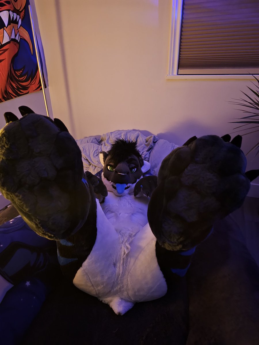 Witchin n Bitchin tweet media