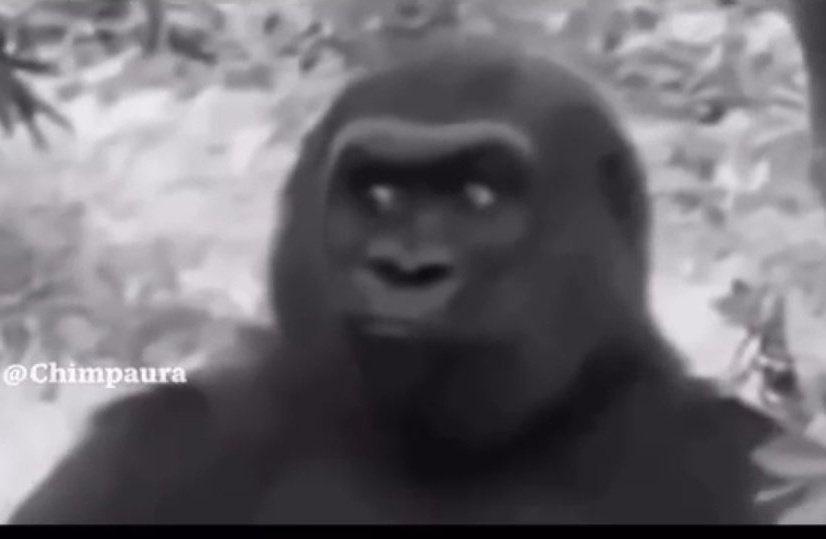 I am Joshua🔴 tweet media