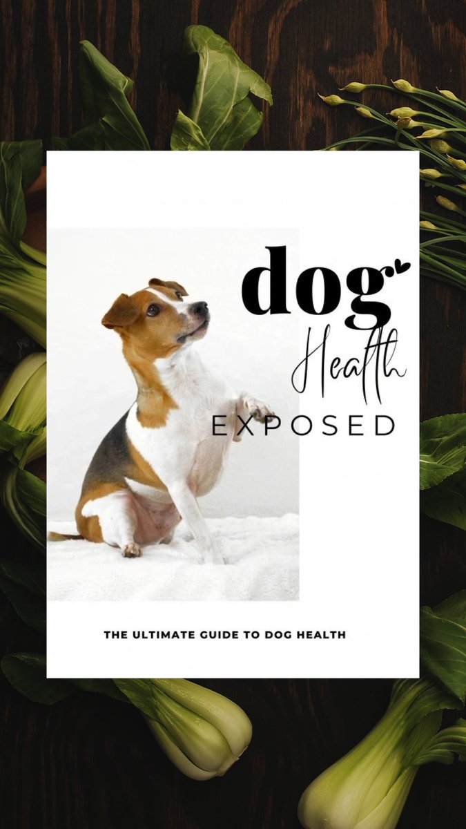 chander65698221's tweet photo. https://t.co/IUrTmX4wIV
 The Ultimate Guide to Dog Health: Proven Tips for a Longer, Happier Life
Explore essential dog care tips to boost immunity, prevent illness, and ensure your dog lives a longer, healthier life.
 dog longevity, dog immunity, prevent dog illness, https://t.co/KkXprrr5c9