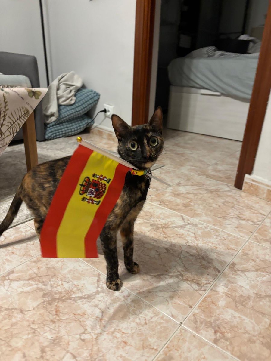 🦋 AMAYA VILABRILLE 🦋 tweet media