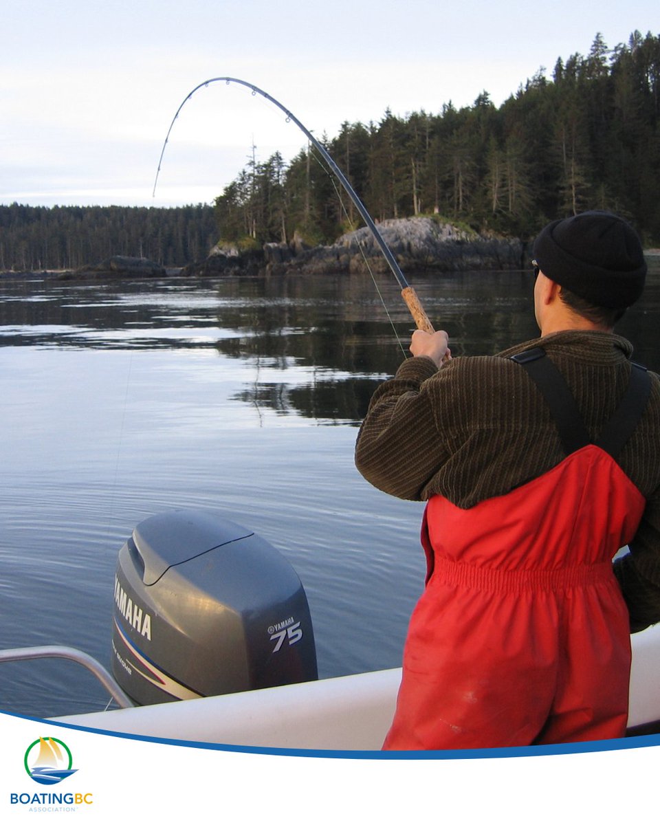 Boating BC Assoc. tweet media