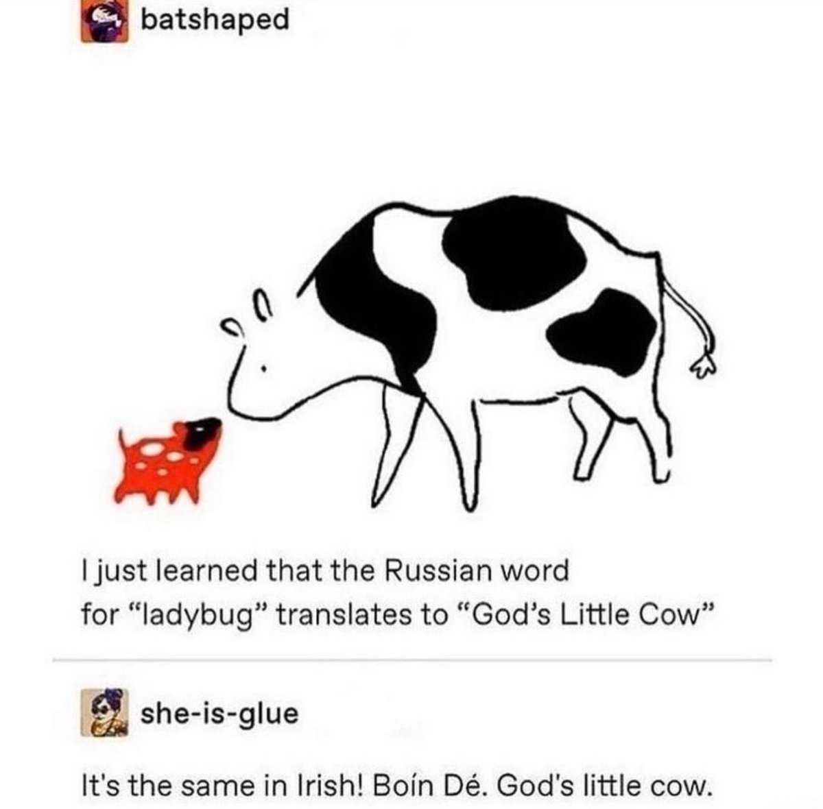 no context memes tweet media