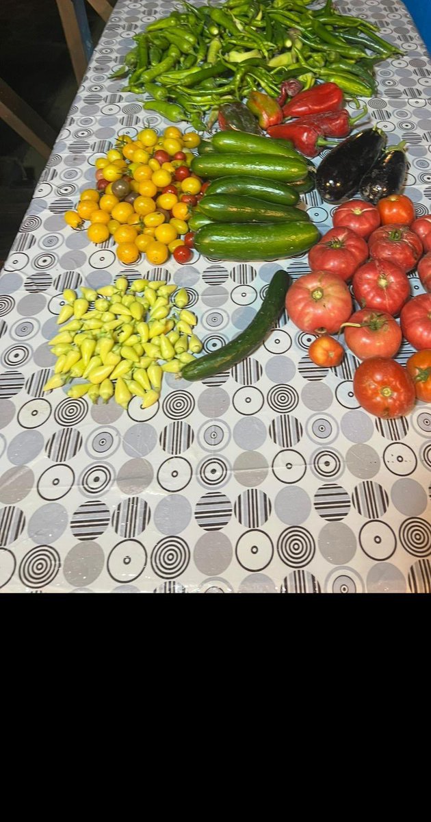 Ertugrul Cüre tweet media