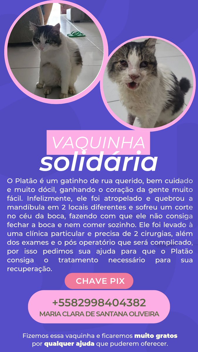 clara 🩺 tweet media