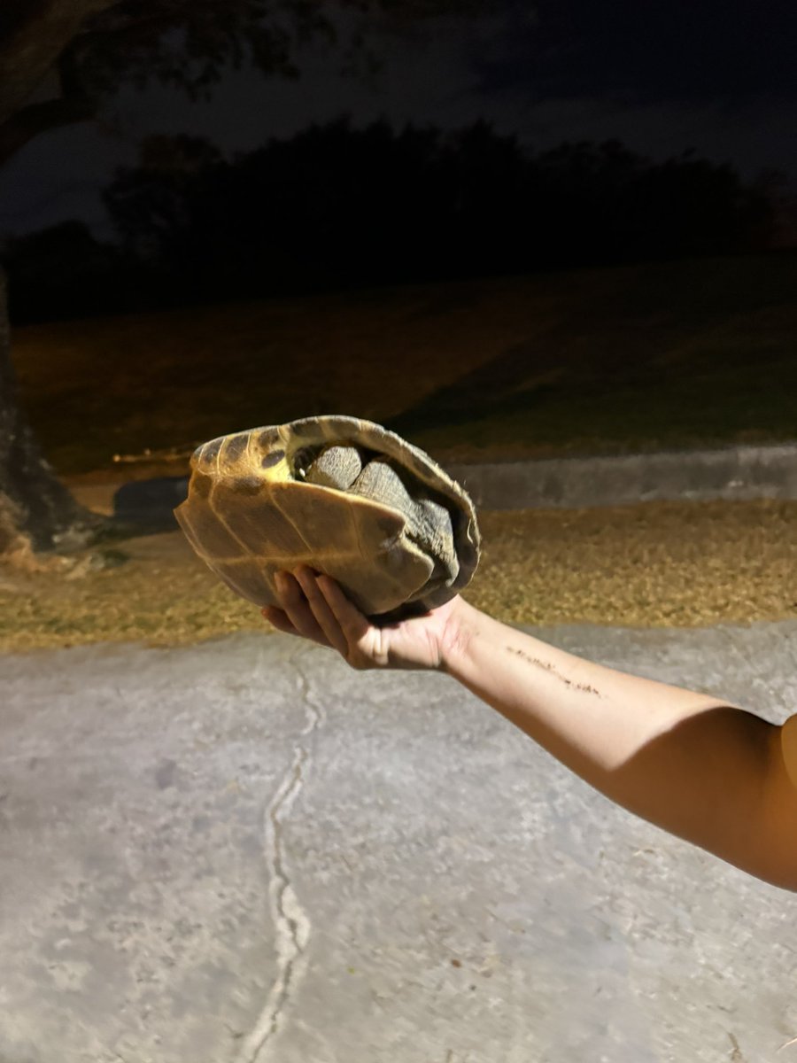 塔瓦Tawa✨4/26【Cover】world.execute(me); tweet media