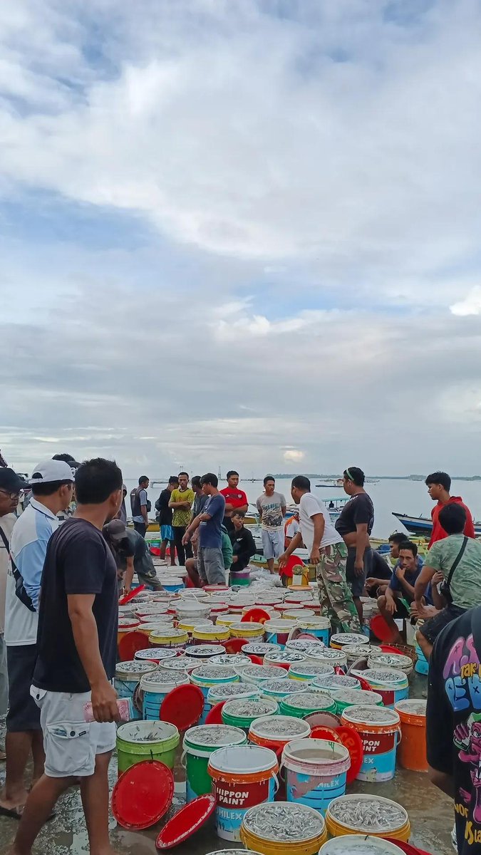 cacye🛴 tweet media