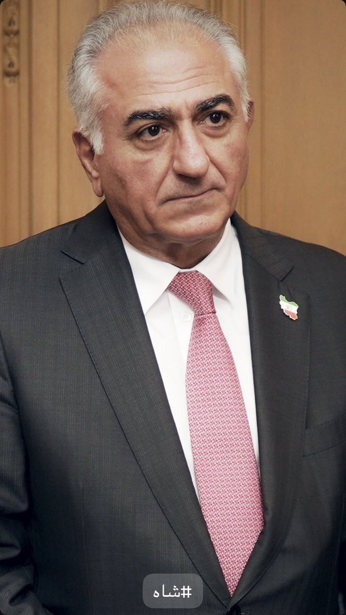 MitSoDen tweet media