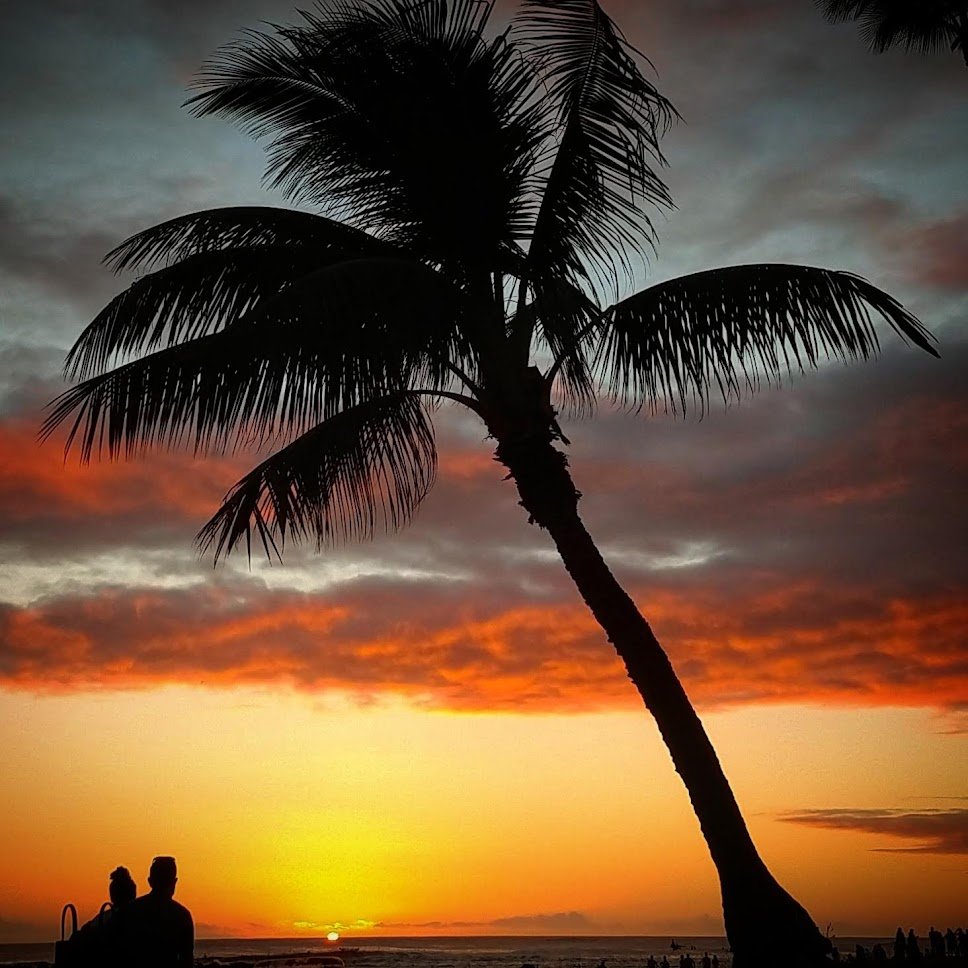 Post Partisan Protagonist tweet media