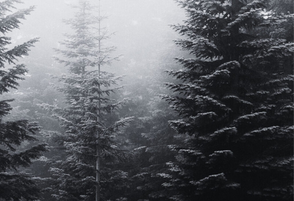 GrendelPress's tweet image. Unease is the feeling something is off, like a smell you can’t place or a word you can’t recall. Vague, persistent, impossible to pin down. That’s why it works. #writers #writingcommunity #authortips #darkfiction
sassyedits.com/tips-for-new-w…
 sassyedits.com/tips-for-new-w…