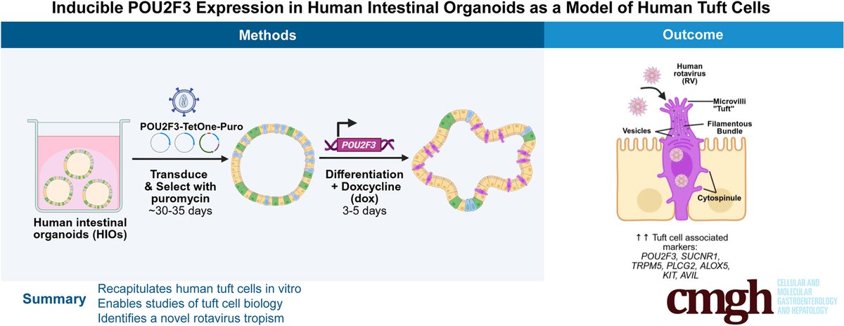 From the Labs at Baylor College of Medicine tweet media