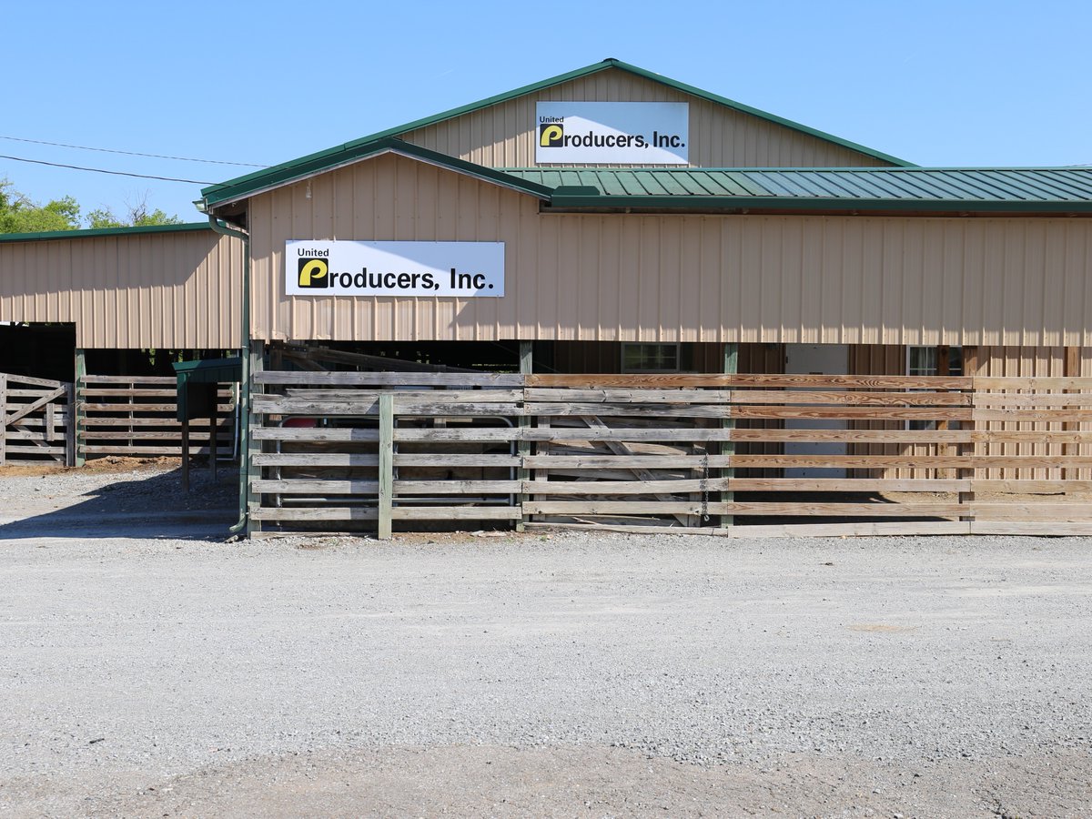 EricMayberryTFB's tweet photo. @TNFarmBureau has a long history of supporting cattle producers across the state, and this facility has allowed us to do just that for many years. Tennessee Livestock Producers has had the Fayetteville barn since 1972, with United Producers Inc. managing it since October of 2020. https://t.co/Bq8KWdwghr
