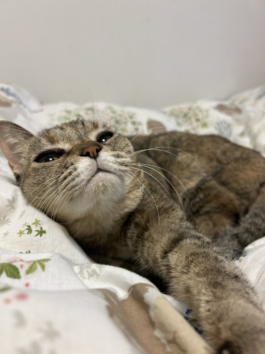 MIYABI☆黒ラベル☆大阪 tweet media