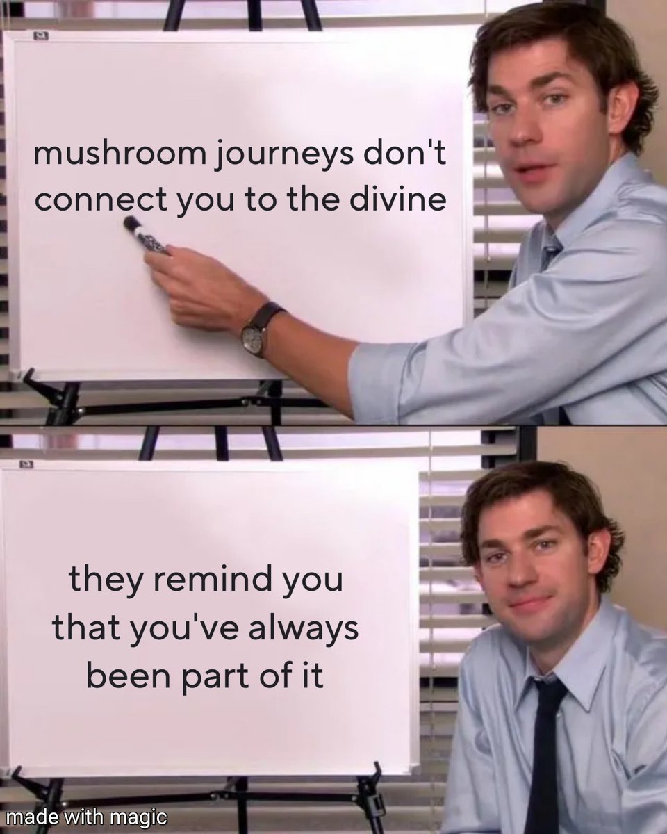 AGAIN..

The mushroom is an organic technology for access to the multiverse memory bank, created to enable one to go into that library. But it takes discipline, courage, practice, patience, and tenacity to get what you want and go where you want to go.

#germany #shrooms #fypシ゚