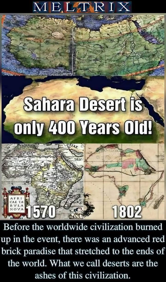 Hen Dales tweet media