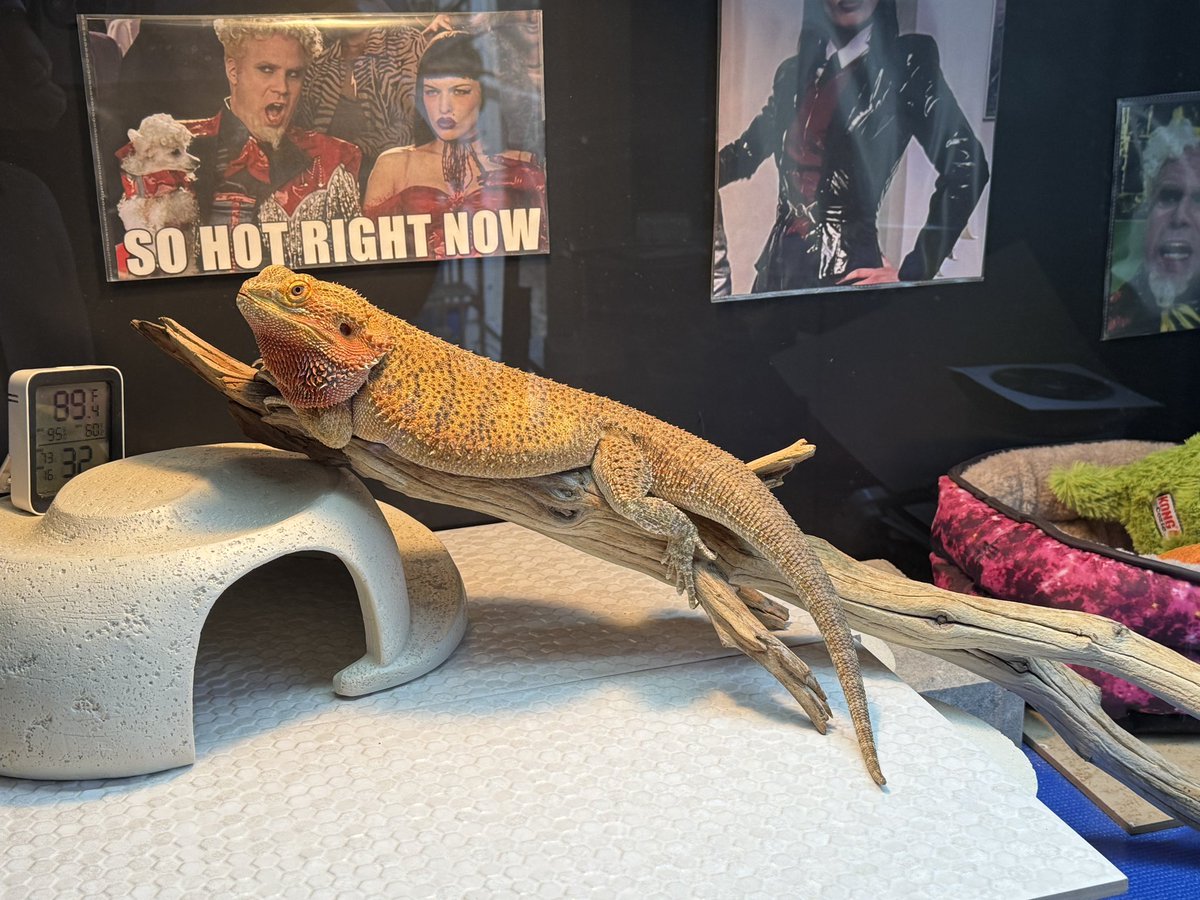 Astro-Grouch 🇻🇪🇺🇸🇺🇦🚀 tweet media