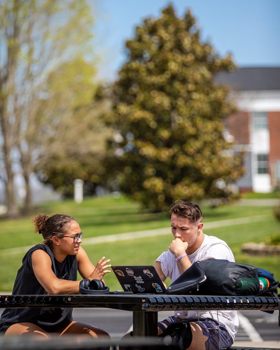 CumberlandsGrad's tweet photo. Campus looks better with a chance of sun☀️ https://t.co/KdEAmZwCfO