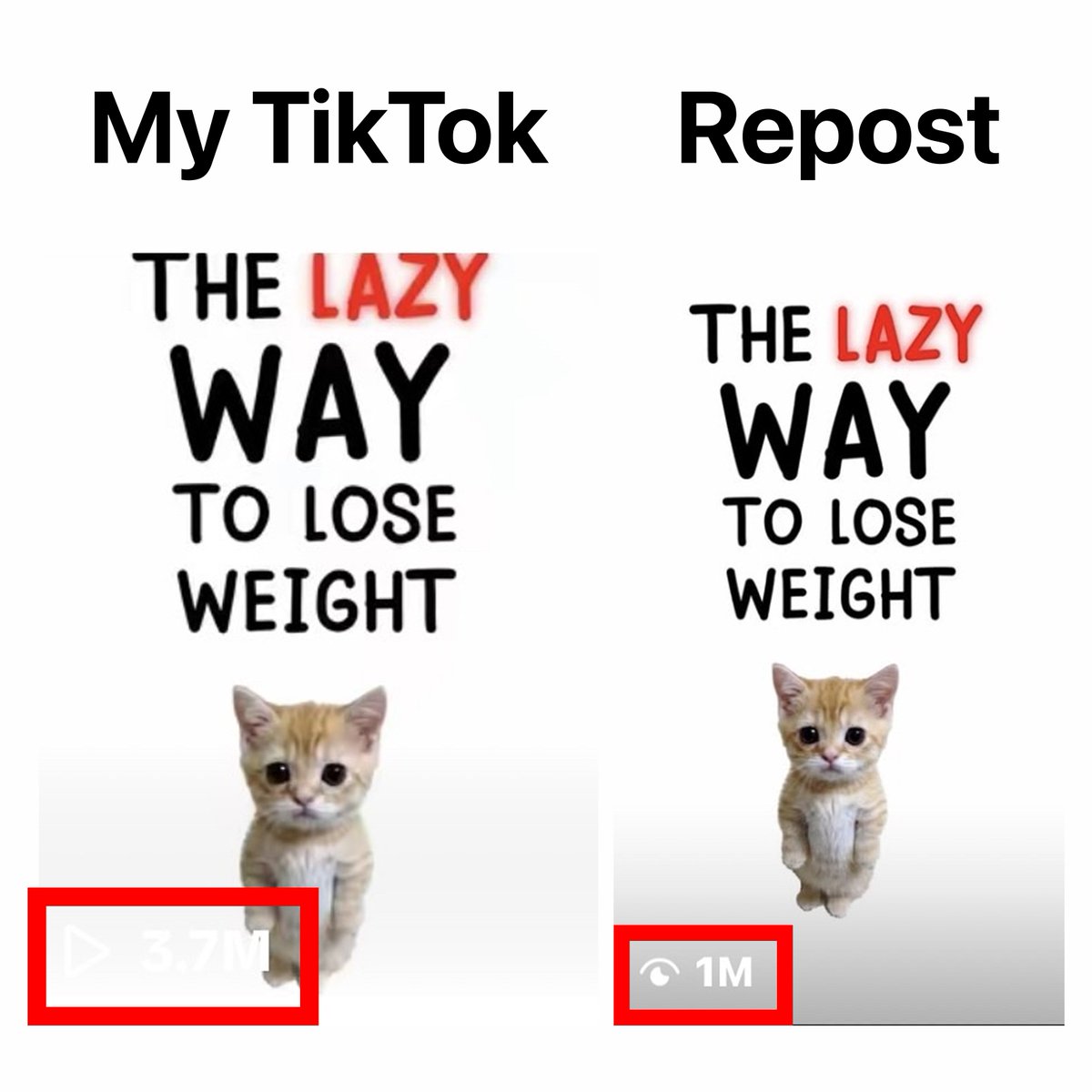 Aden Libin tweet media