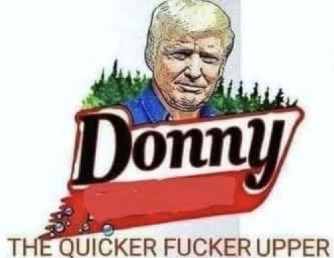 Bea Singleton tweet media