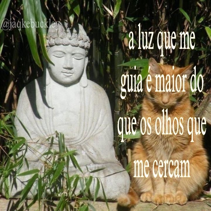 ℓili ✴︎ tarot tweet media