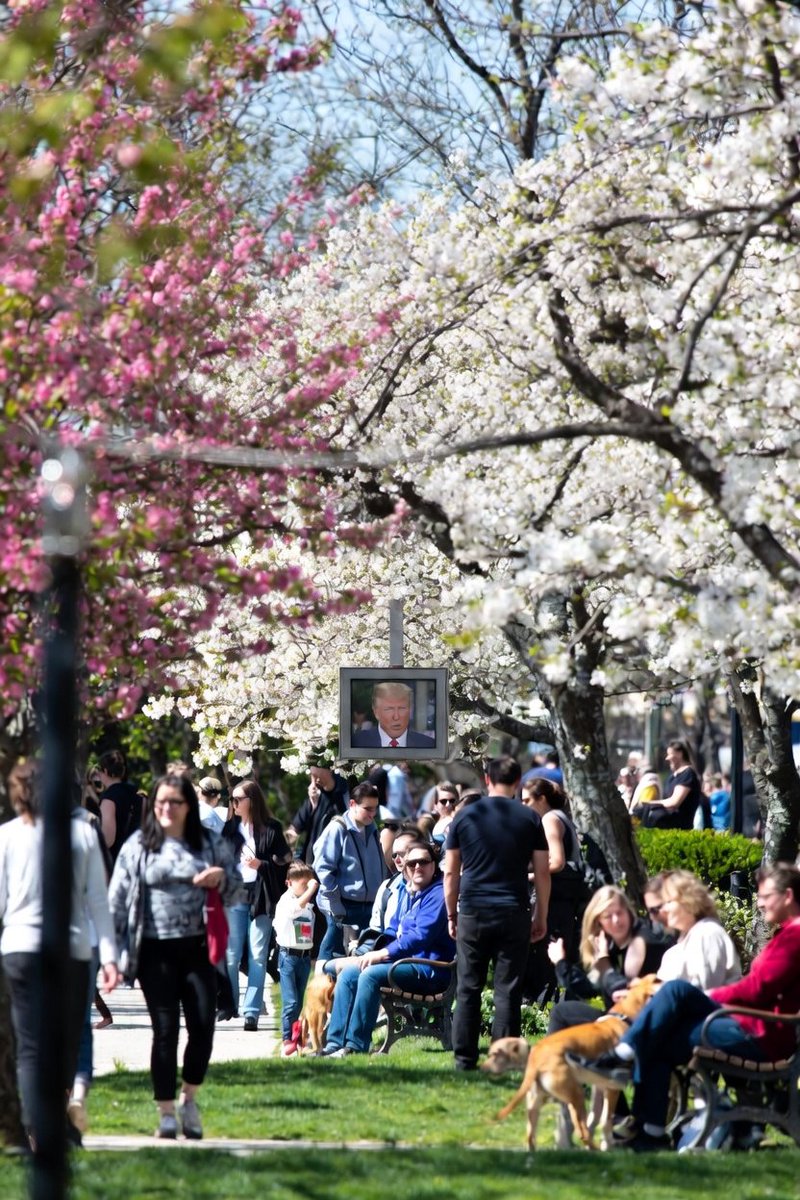 Tempus0099 tweet media