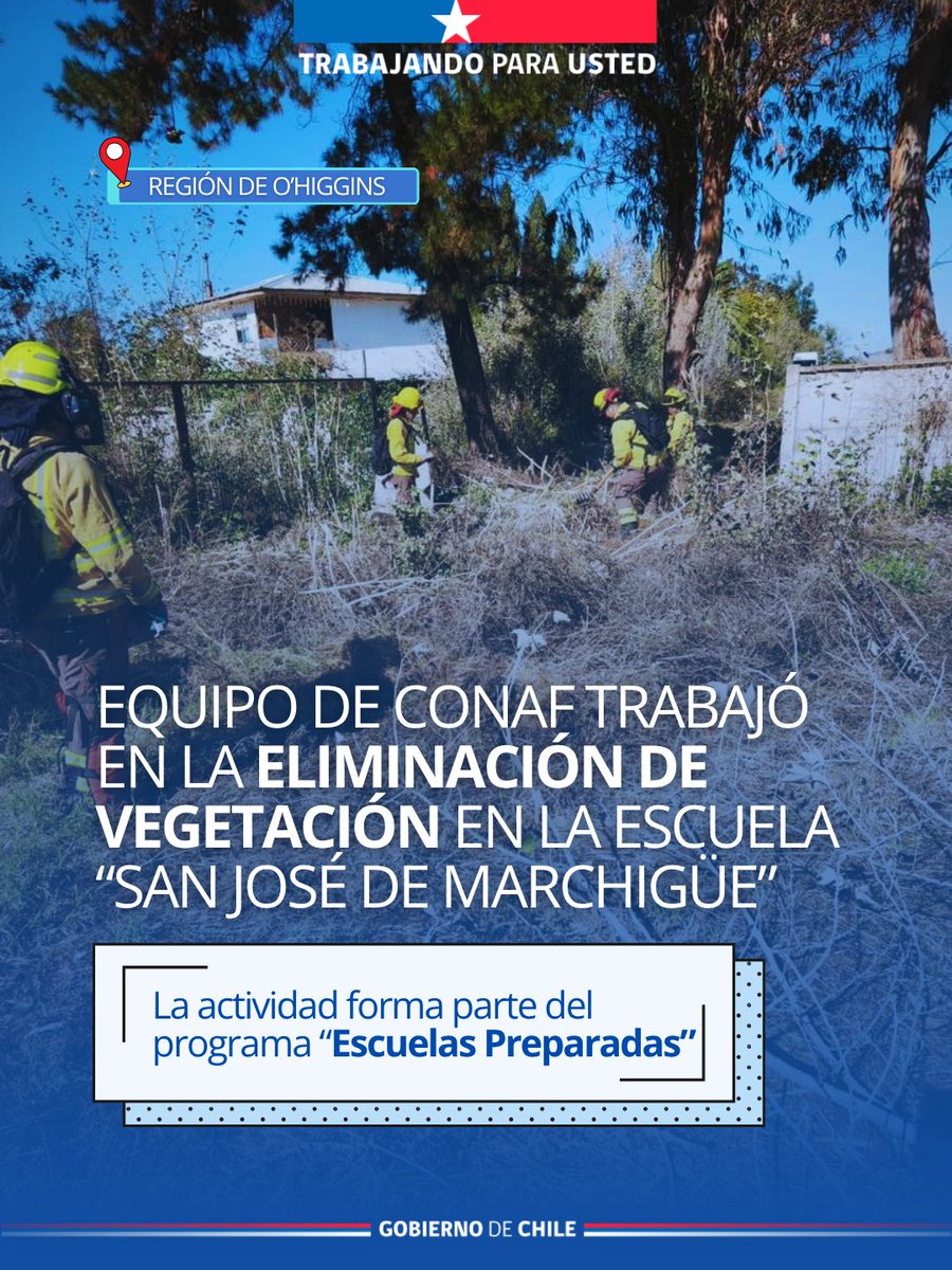 CONAF - Corporación Nacional Forestal tweet media