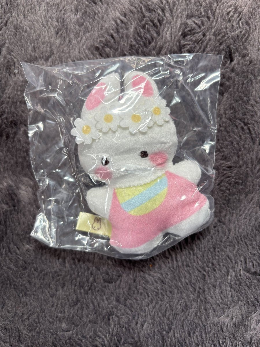 1227ml's tweet photo. サンリオ マスコットぬいぐるみ 交換

譲 チアリーチャム

求 ウサハナ

大阪梅田手渡しまたは郵送 https://t.co/UnckebxWm7