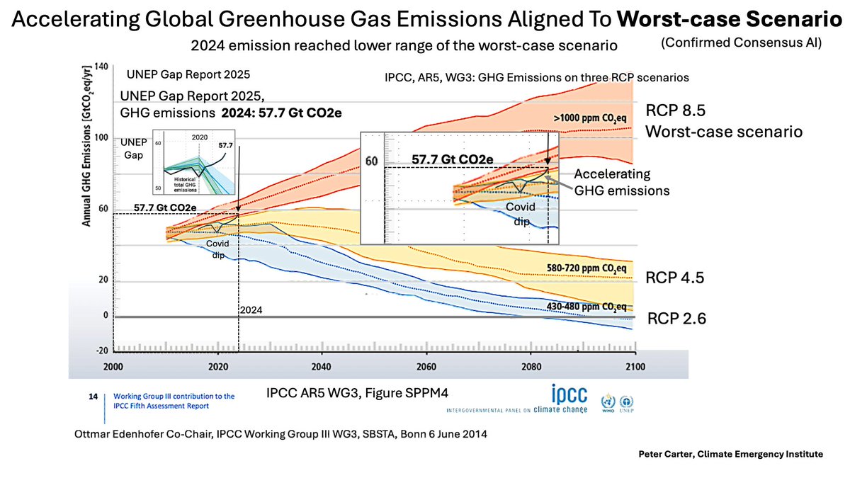 Peter D Carter tweet media