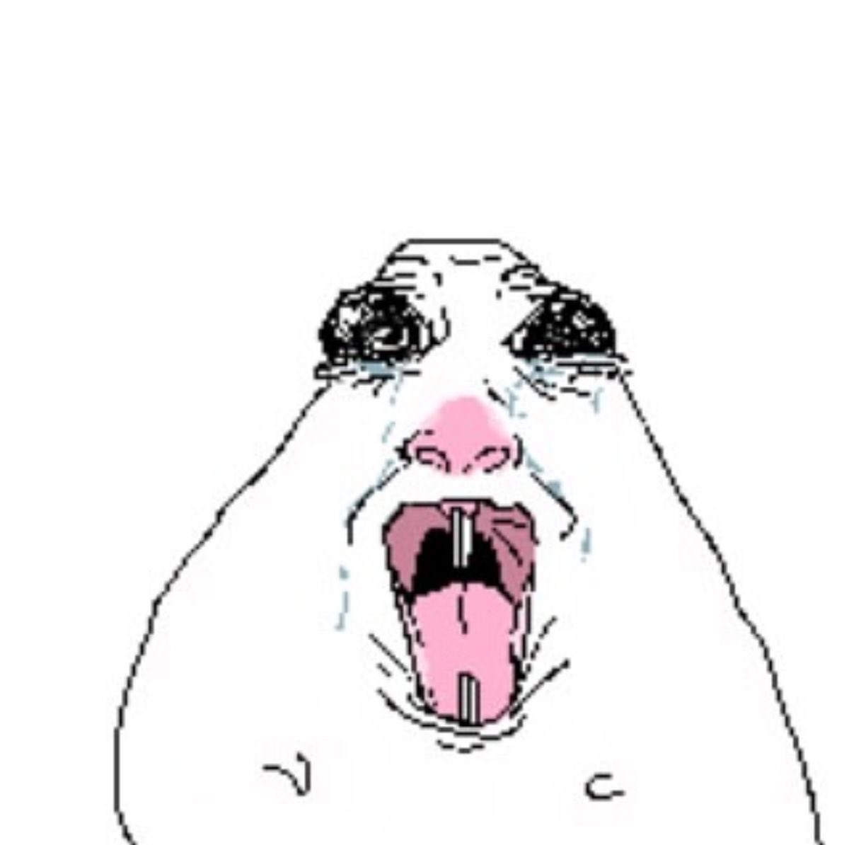 Blueberry |comms open| tweet media