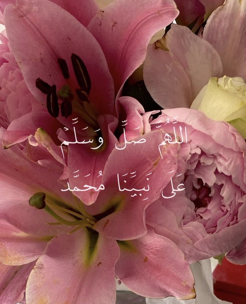 Mais Younis (@mais1younis) on Twitter photo 