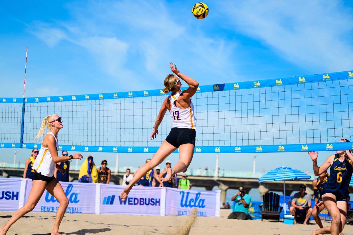 LSU Beach Volleyball tweet media