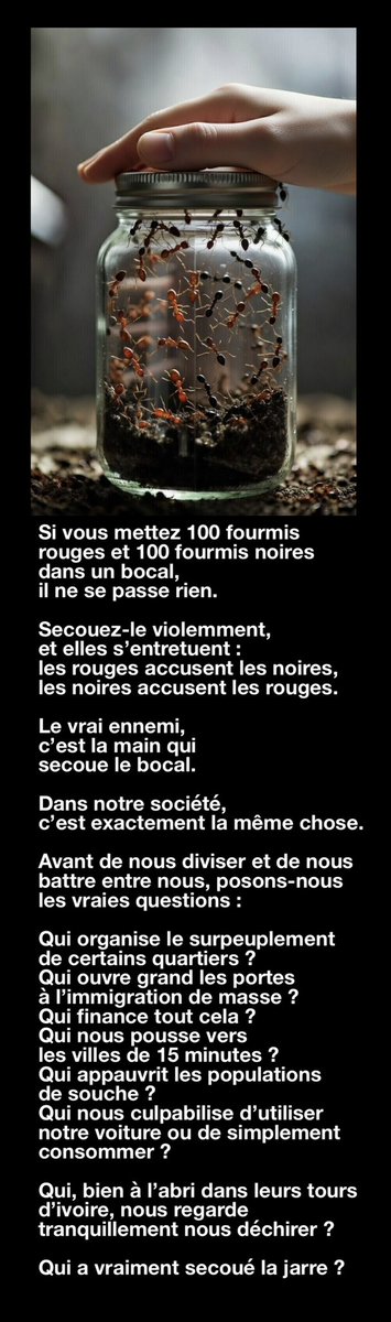 pres_reine's tweet image. L’histoire des fourmis rouges et noires. Notre ennemi invisible ?  #fourmis #société #immigration #ville15minutes