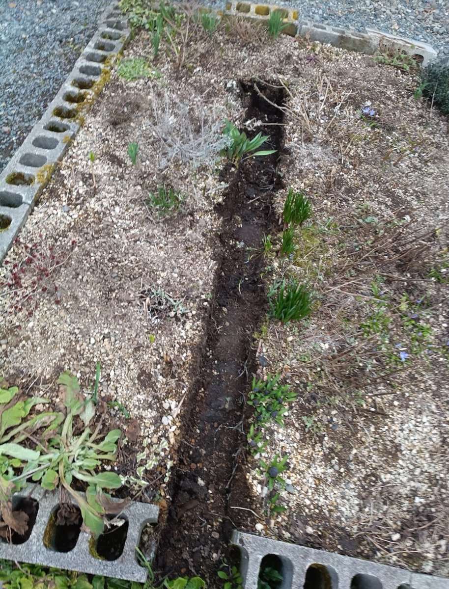 北国DIY@古民家フルリノベ🏚️🛠️ tweet media