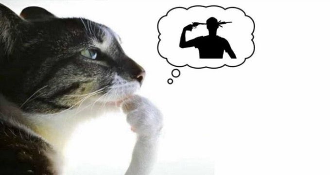 peshak 🇵🇸 tweet media