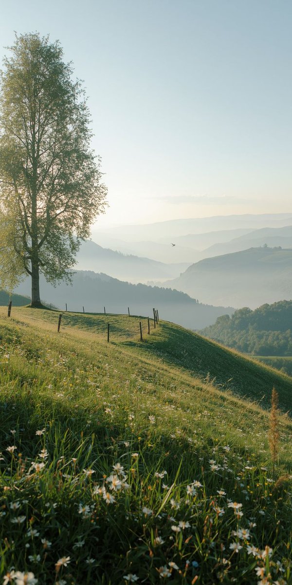 Intresting nature 🌿🪐 tweet media