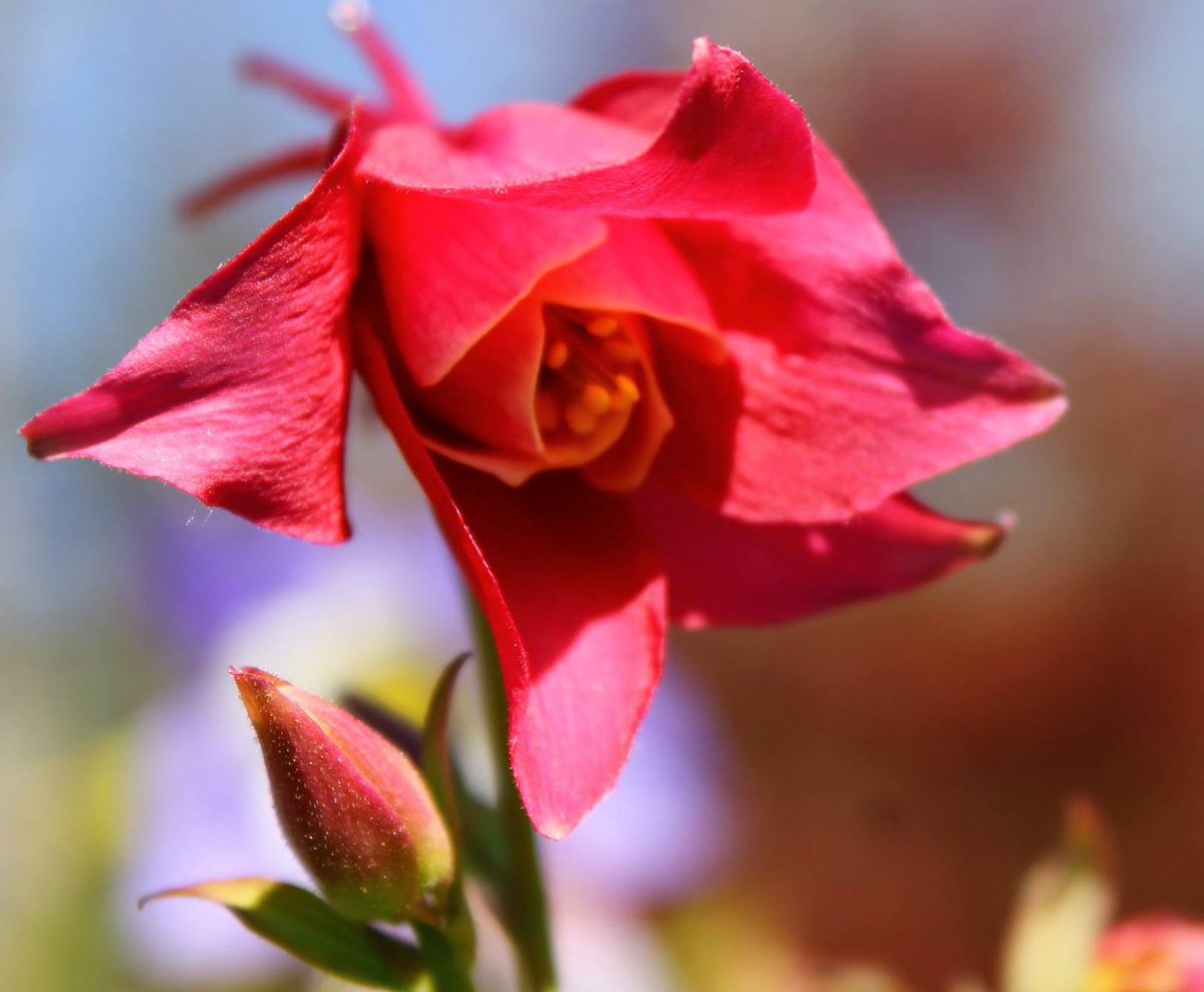 Mark Doherty tweet media