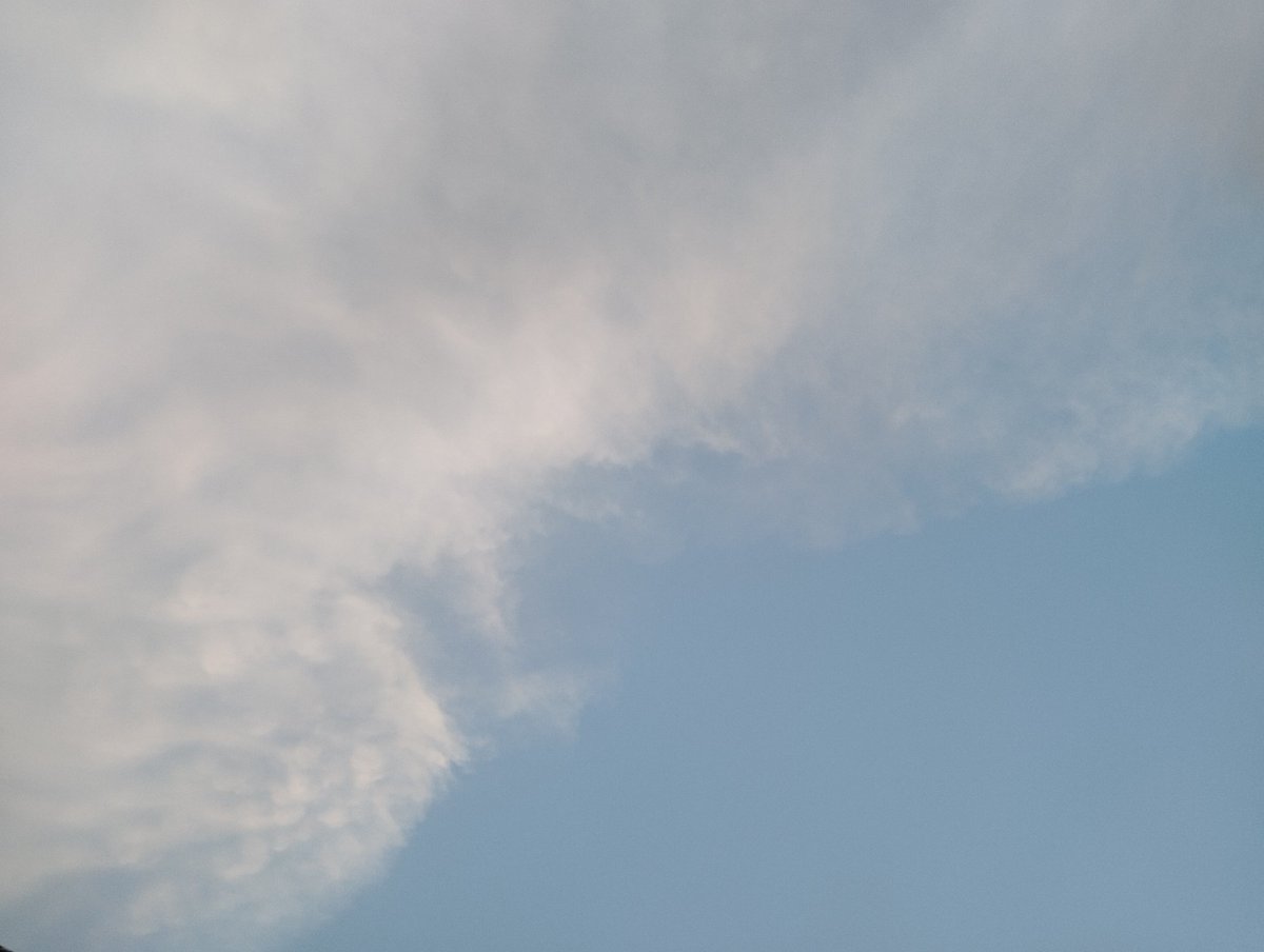 MayorEmpe tweet media