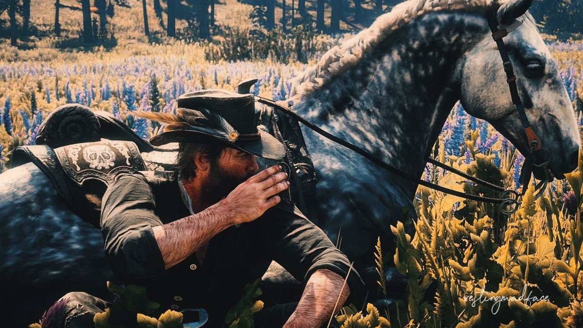 daily arthur morgan 𓏲ּ𝄢 tweet media
