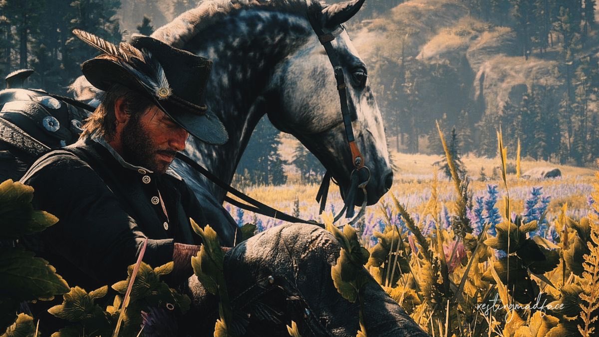 daily arthur morgan 𓏲ּ𝄢 tweet media