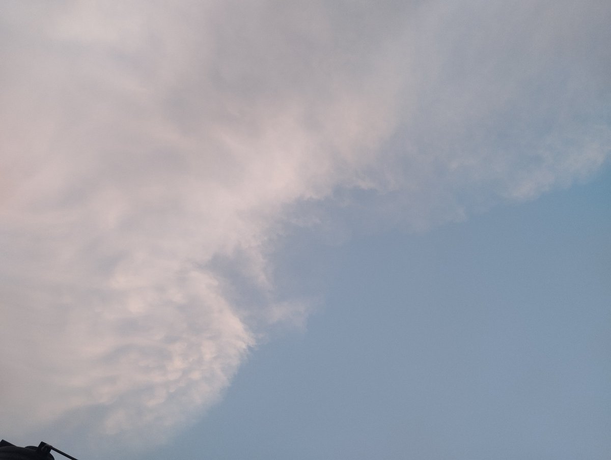 MayorEmpe tweet media