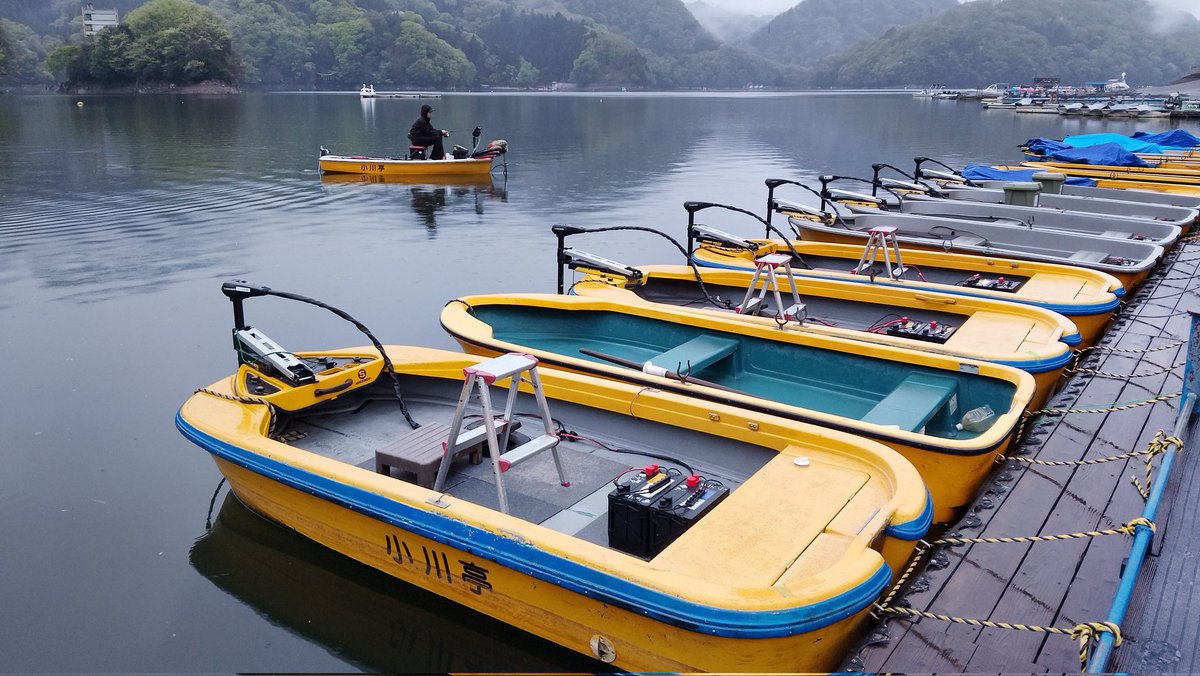 釣船小川亭@相模湖 tweet media