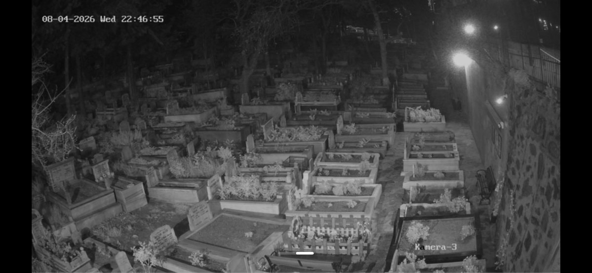 Aynur Akıncılar tweet media