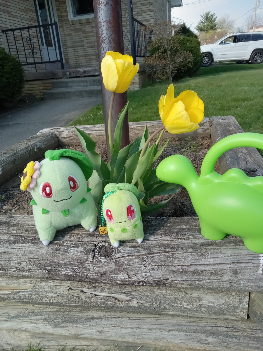 ChikoritaPropaganda tweet media