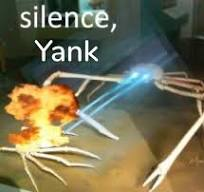 Arda Kolimsky. tweet media