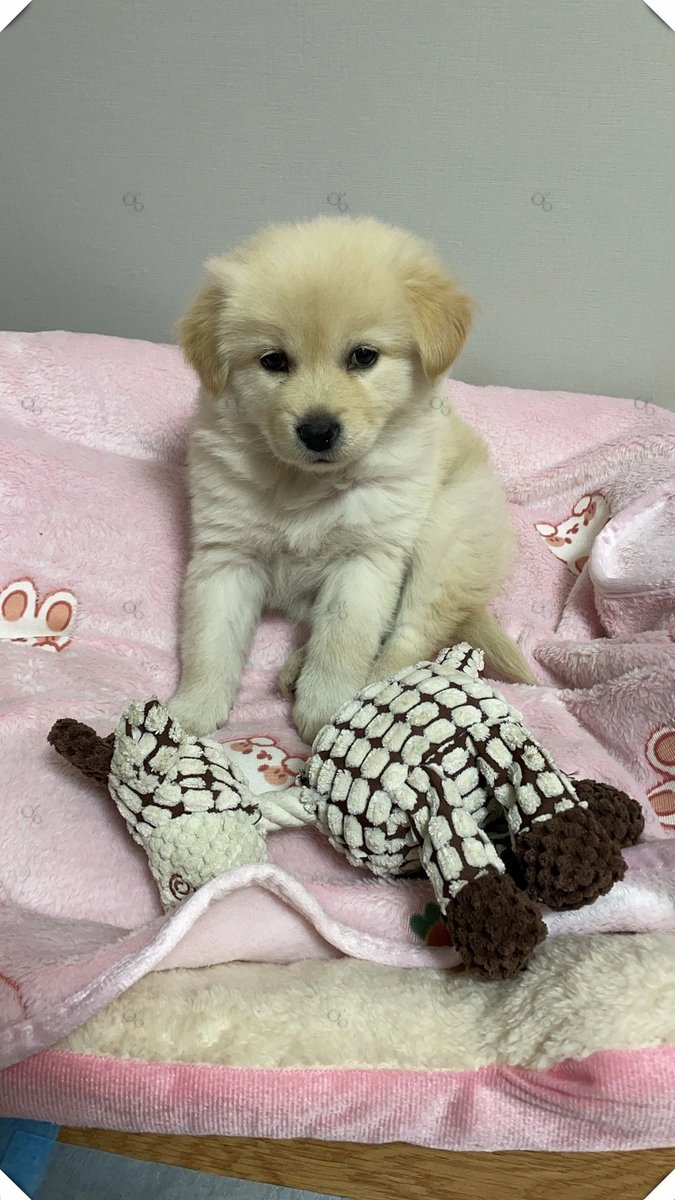 NeWbornSTRIKER tweet media