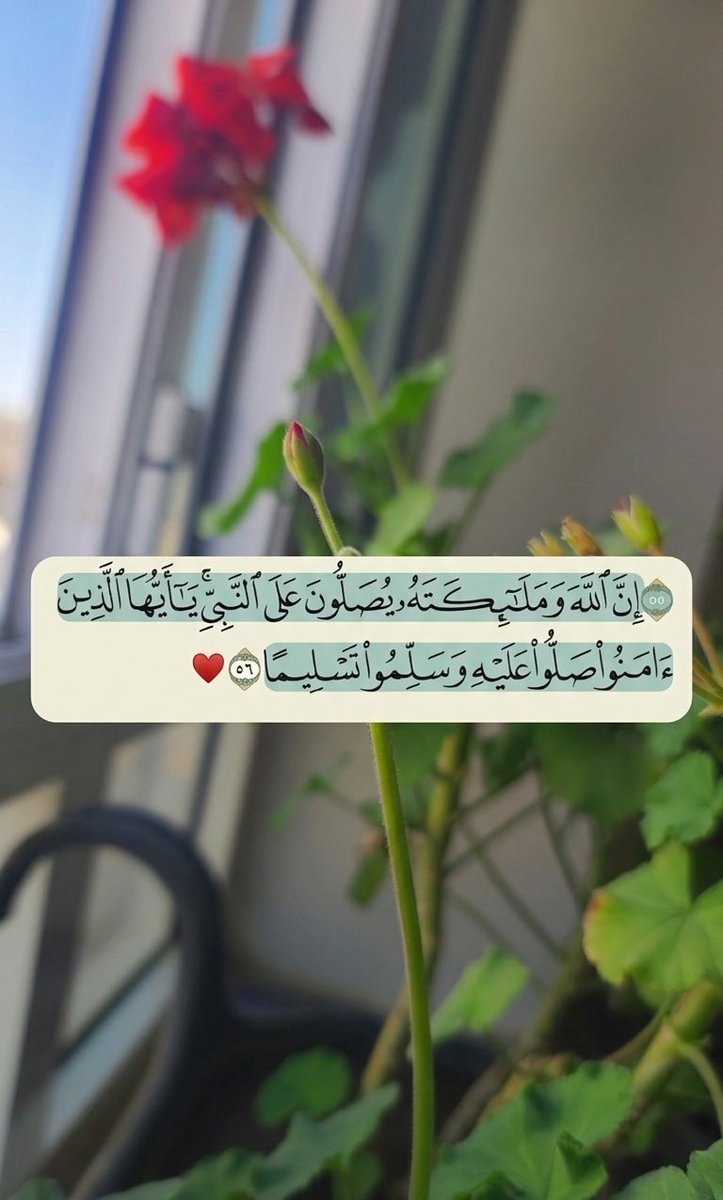𝐊𓆩♤𓆪⚜️ tweet media