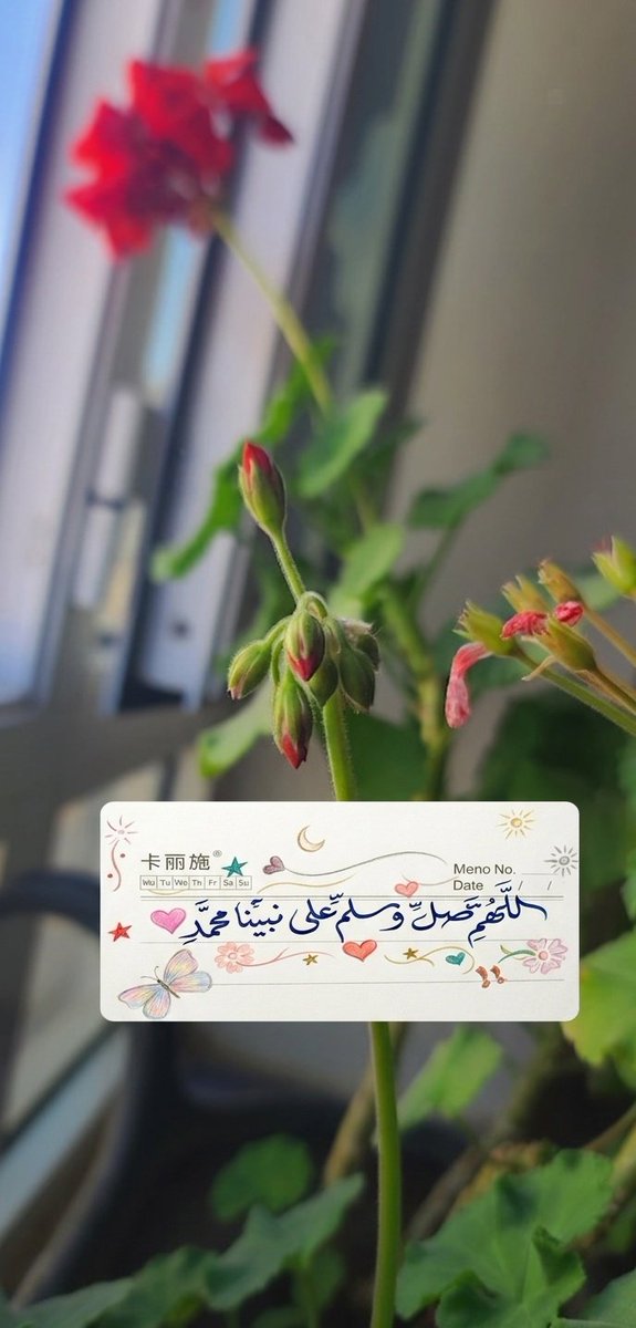 𝐊𓆩♤𓆪⚜️ tweet media