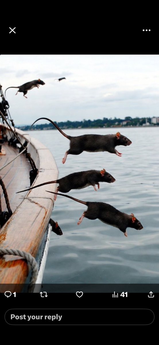 Bob Roberts tweet media